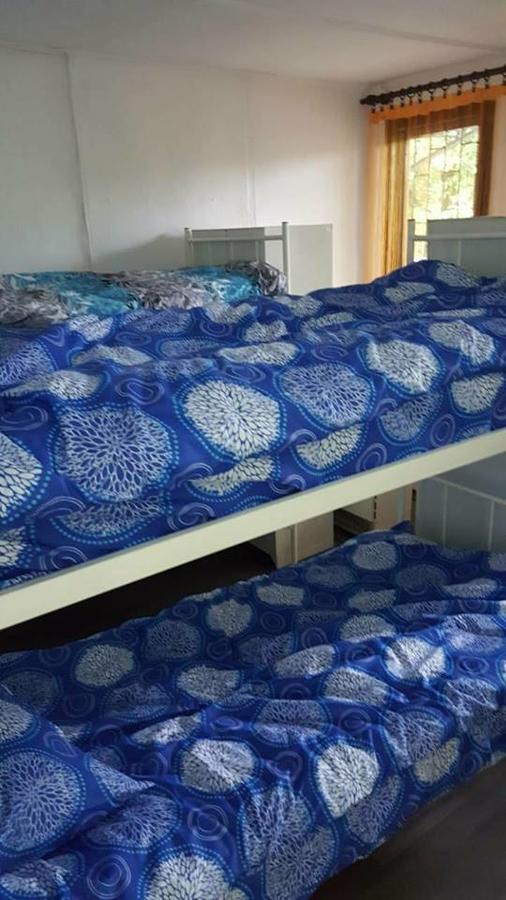Hostel Belgrade Shungit Dragana Jeftica Br 10 Eksteriør billede