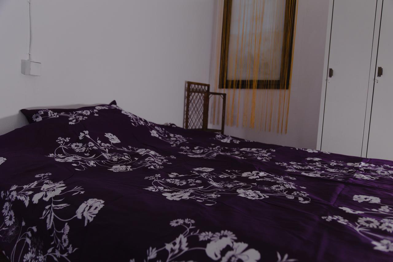 Hostel Belgrade Shungit Dragana Jeftica Br 10 Eksteriør billede